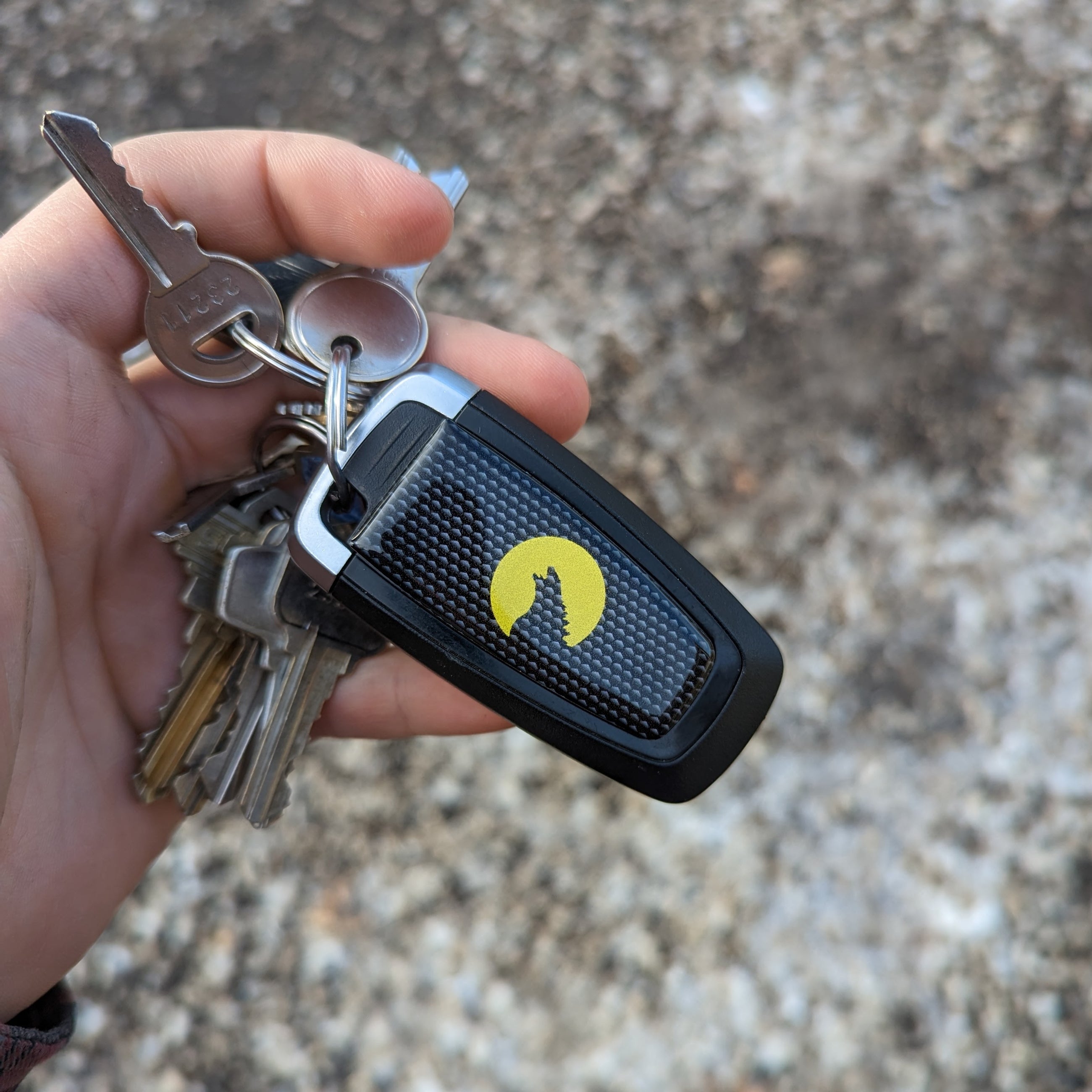 Key Fob Overlays