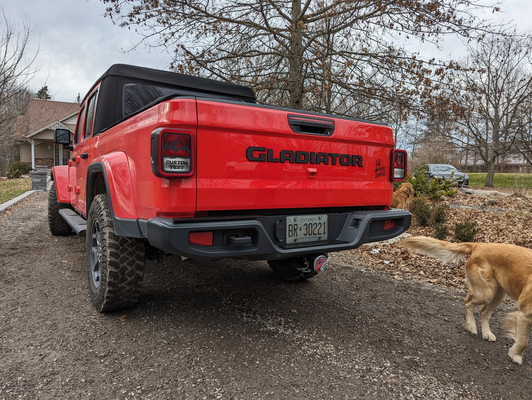 Letras para portón trasero de Gladiator®: producto con licencia oficial