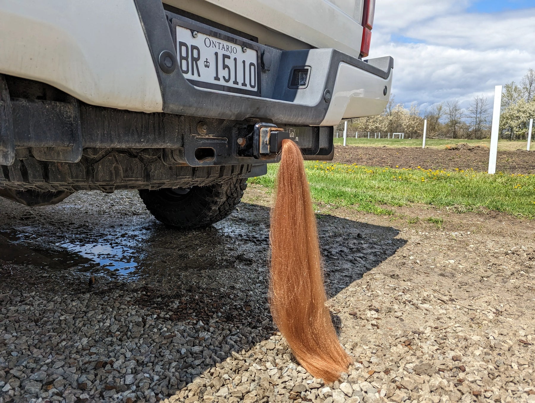 Cubierta de enganche de cola de caballo - 15" de largo - Marrón