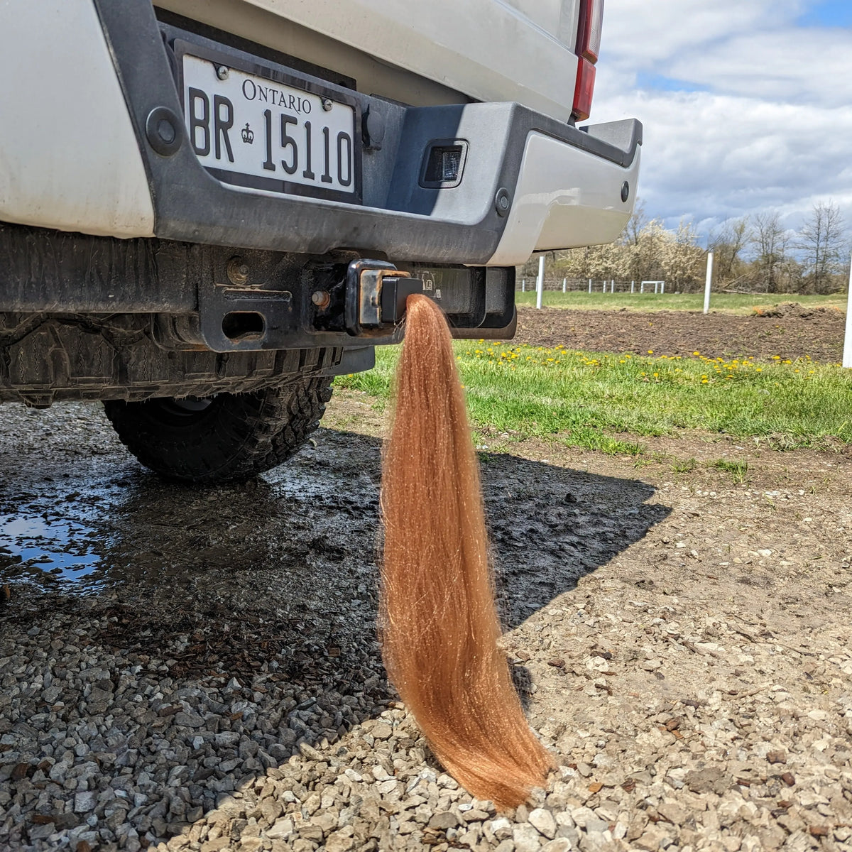 Cubierta de enganche de cola de caballo - 15" de largo - Marrón