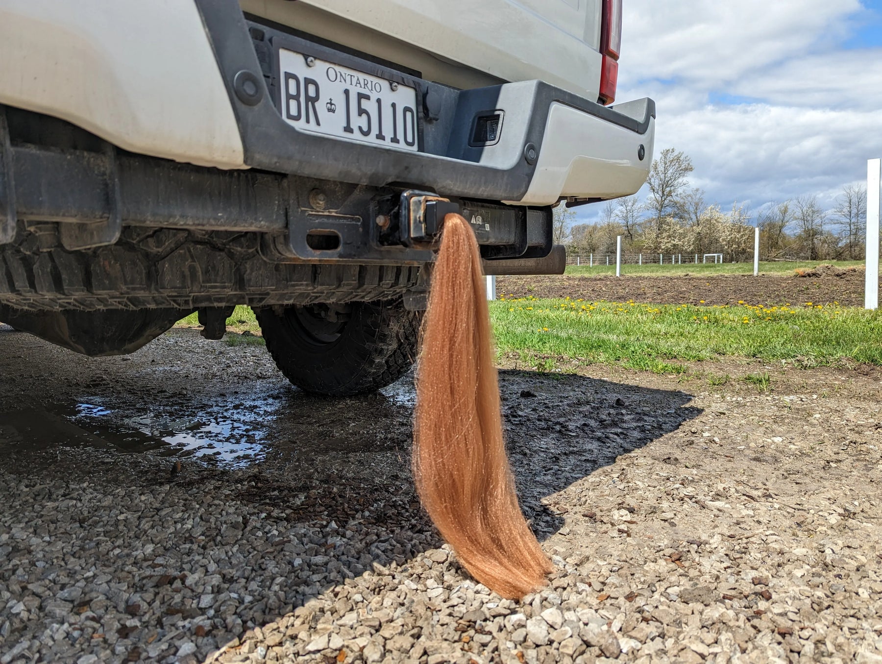 Cubierta de enganche de cola de caballo - 15" de largo - Marrón