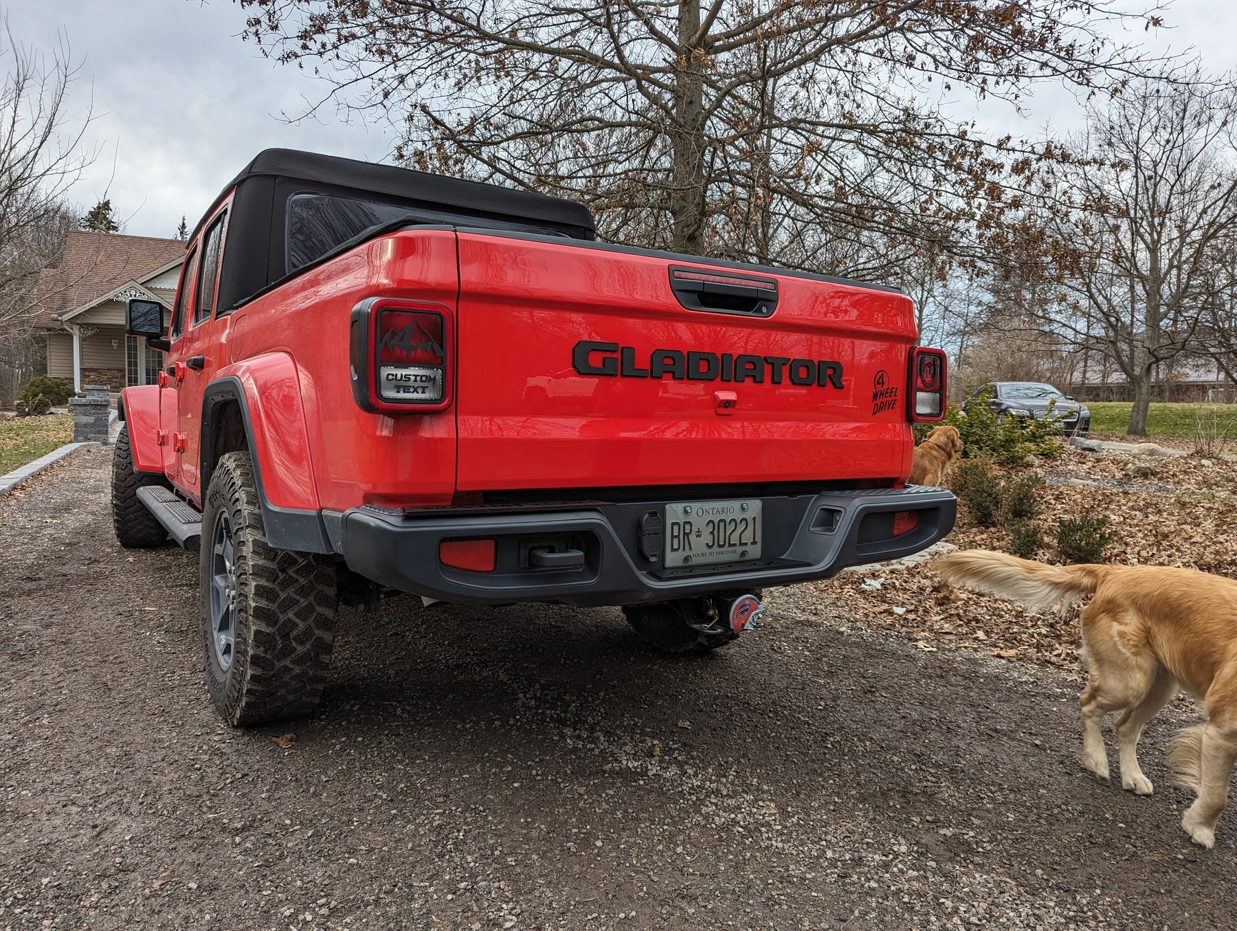 Gladiator® Tailgate Letters - Officially Licensed Product